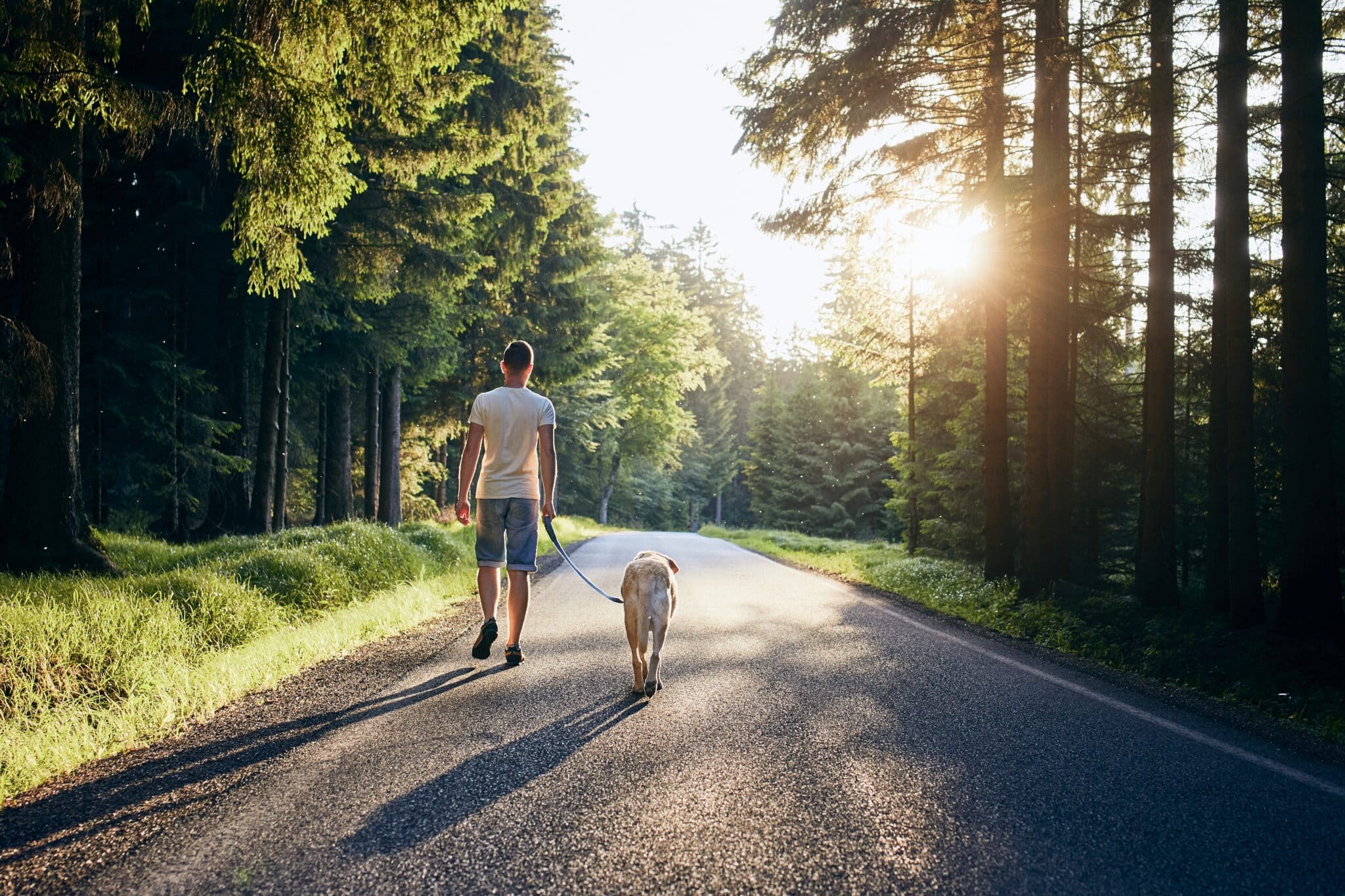 Image d'un homme faisant une promenade avec son chien pour illustrer le témoignage d'une personne ayant une polyarthrite